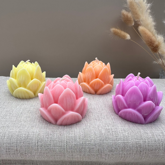 LOTUS